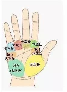 你所不知道的手相秘密之手掌七丘 你所不知道的手相秘密之手掌七丘