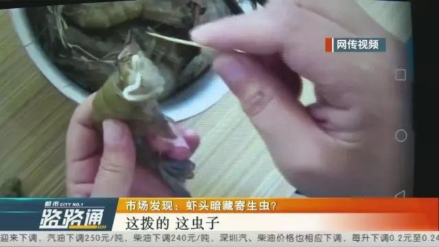 虾头暗藏寄生虫?专家:是公虾输精管 可食