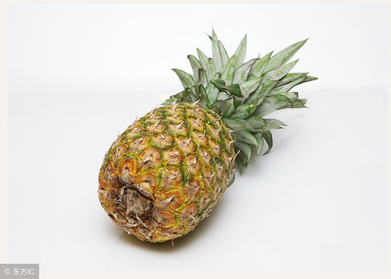 菠萝和凤梨的区别(手撕菠萝和凤梨的区别)