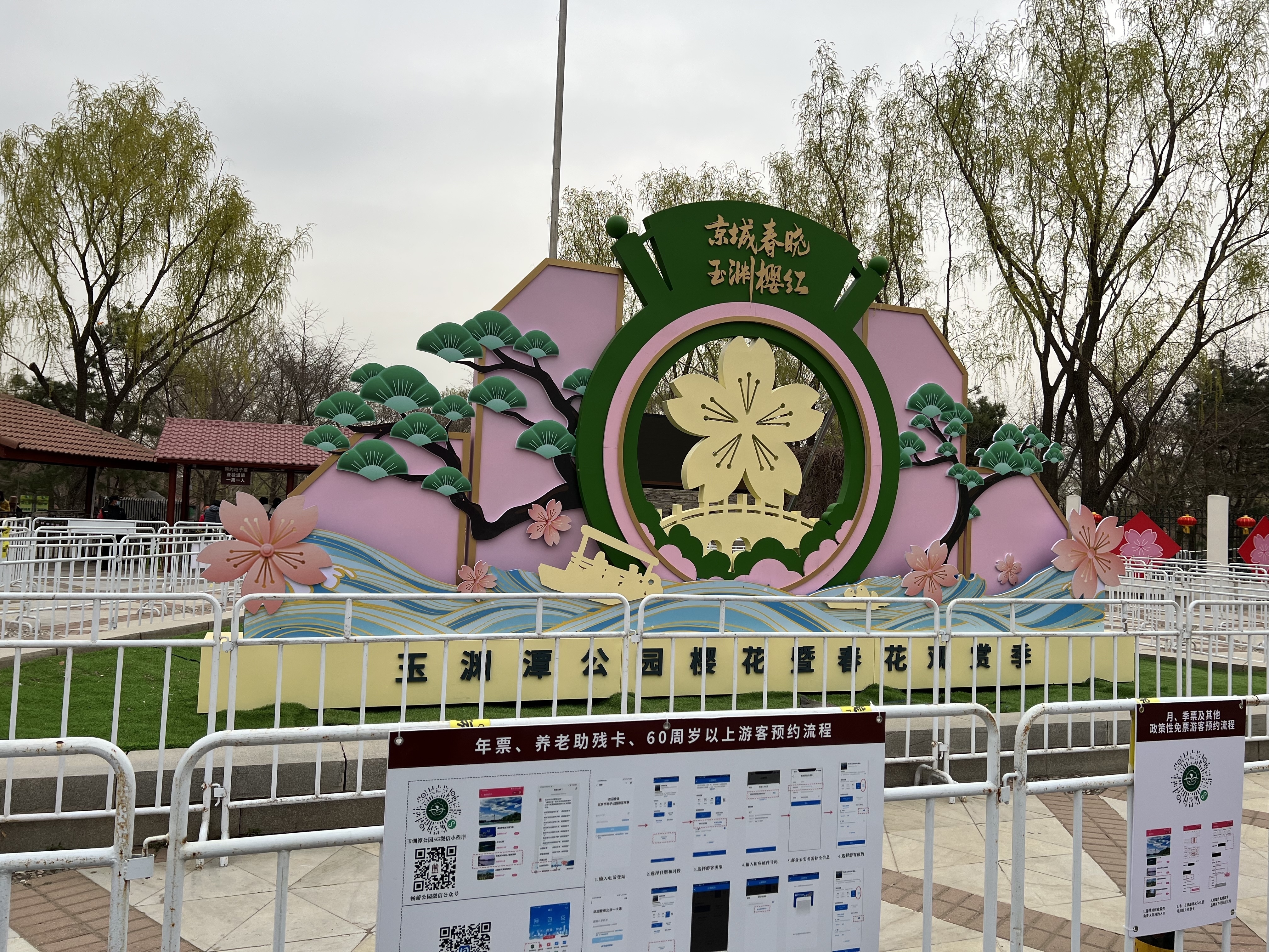 本周末可打卡玉渊潭樱花! 本周末可打卡玉渊潭樱花!