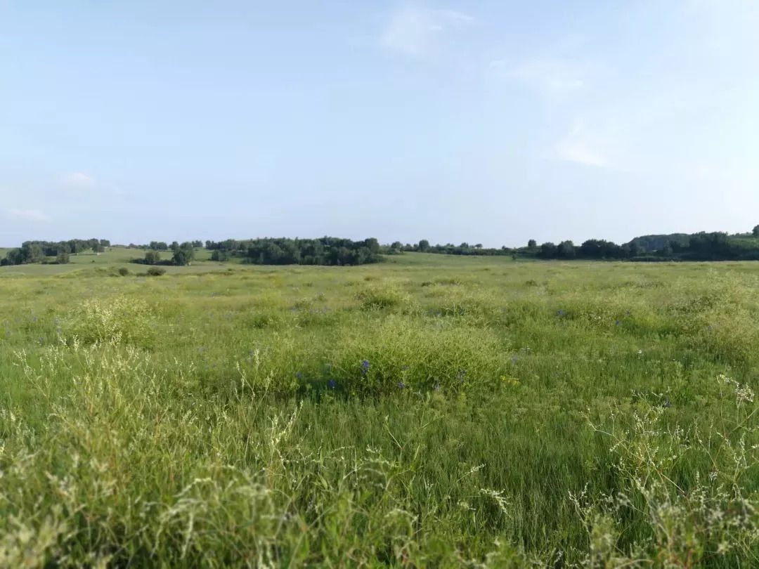 8.31-9.2 梦回乌兰布统欧式草原-将军泡子-公主