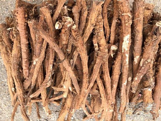 蒲公英根的功效与作用是什么?