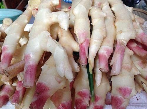 老中医的减肥土方法,将它贴肚脐上,5天瘦3斤,还