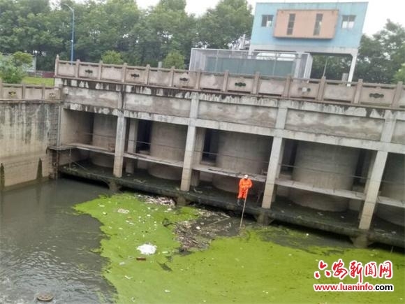 2024年度云南十治新闻人物候选人推荐：李素OD体育官方网站- OD体育APP下载- 世界杯指定投注平台苇