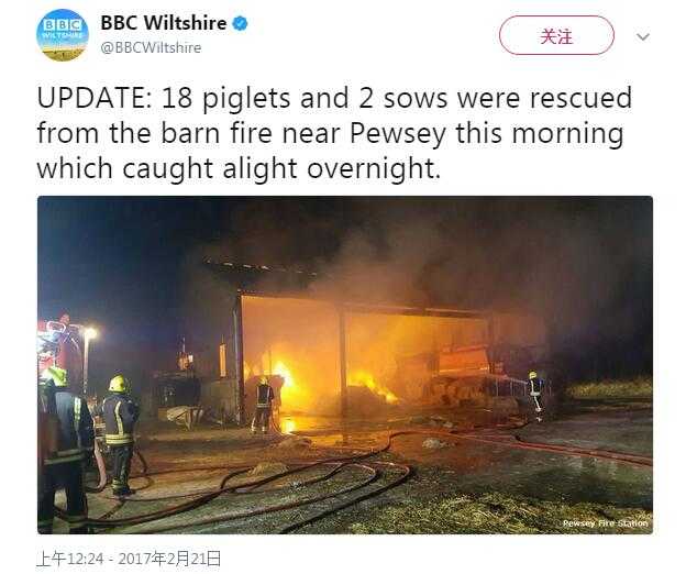 英消防员农场救火获赠香肠 遭动物保护组织诟病