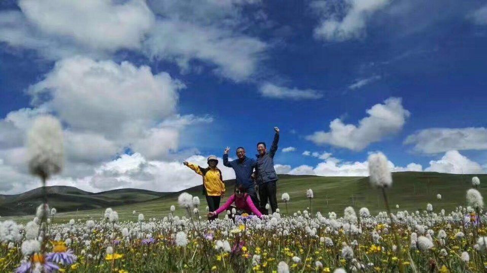 走川藏线自驾好还是包车带司机好呢?