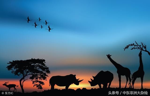 浙江人在非洲开超市每个月赚40万美金 感叹竞