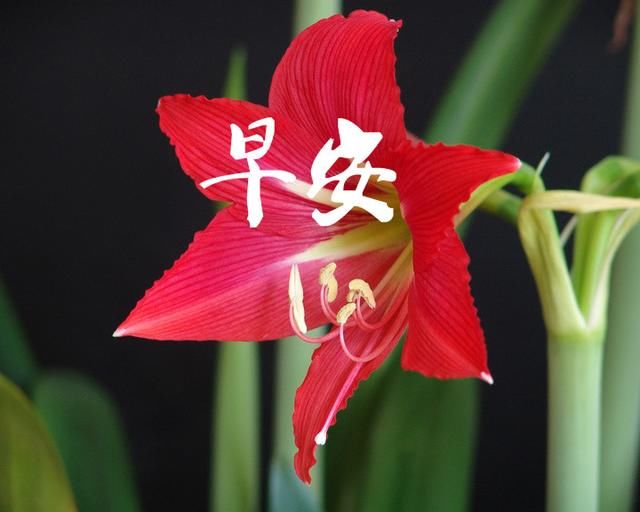 非常走心的早安正能量句子,句句精辟,挑一句发