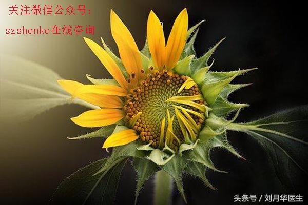 究竟是多么糟糕的婚姻,能让妈妈情绪失控到杀