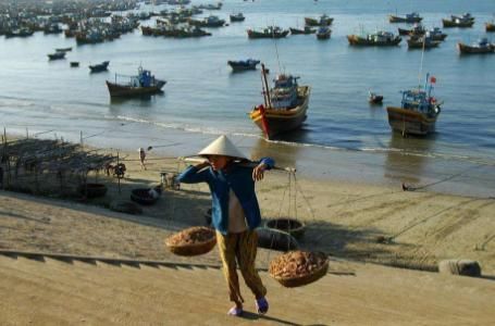 越南海鲜市场:买了20只螃蟹,老板要价15万,游客