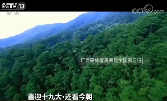 【喜迎十九大】数说广西:家在青山绿水间 感受“慢生活” 【喜迎十九大】数说广西:家在青山绿水间 感受“慢生活”