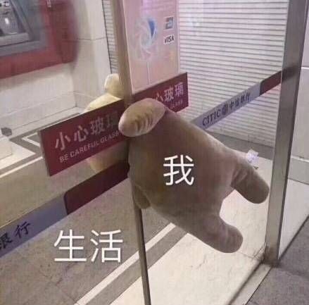 给你们的表情包,生活和我