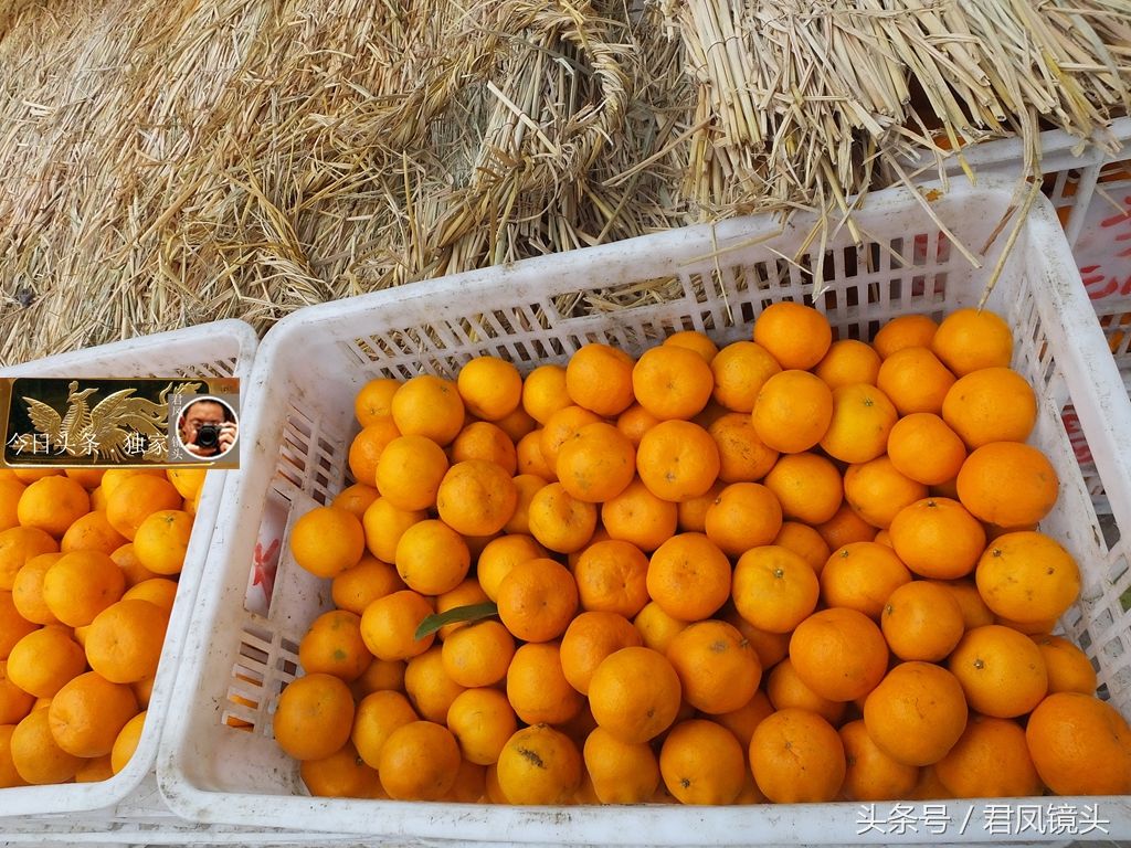 湖北宜昌:天寒地冻,农民用稻草做被子,给20000