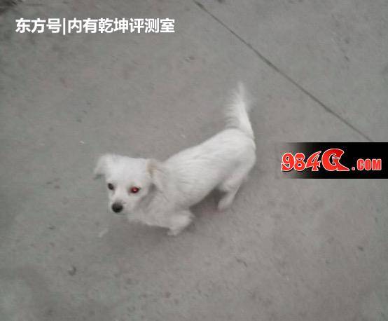 DNF起源版本职业吐槽?网友:你见过一觉被动仅