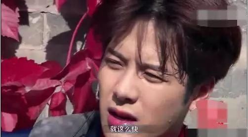 王嘉尔黑料众多,何德何能与鹿晗陈伟霆平起平