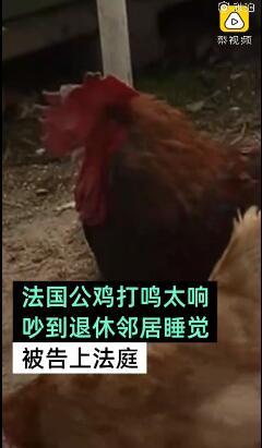 t01dbdca02014af25ca.jpg?size=240x411