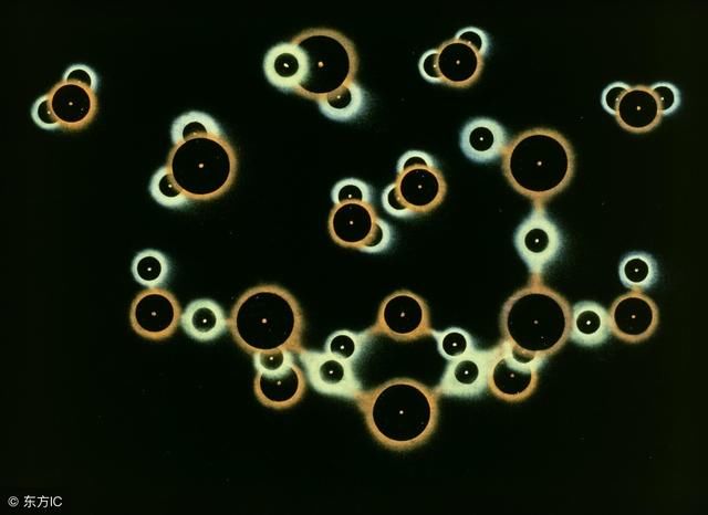 狐臭形成的多种原因,青年男女体表腺体分泌物