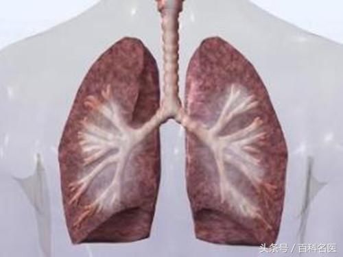 肺活量不足可能是造成哮喘、肺部肿瘤的原因!