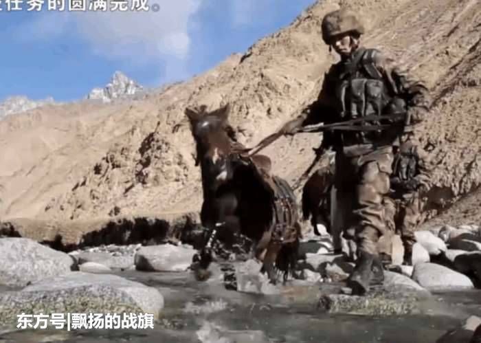 中国什么兵种最危险? 绝不是特种兵, 而是这群