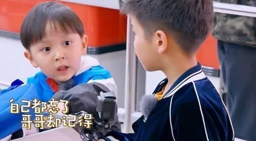 杨安迪大麟子,大麟子,大麟子现在(第14页)_大山谷图库