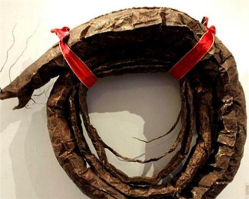 为了潜水的需要，海蛇的鼻孔长有一对可开闭的瓣膜，可防海水从鼻腔进入体内。海蛇的前半部细小，呈圆柱形，后半部变粗，尾巴不像陆蛇那样细长如鞭，而是侧扁如桨，在海中游泳时，像船橹那样左右拨水前进。