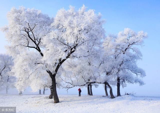最适合2月旅行的三个地方,美上天去了绝对不会