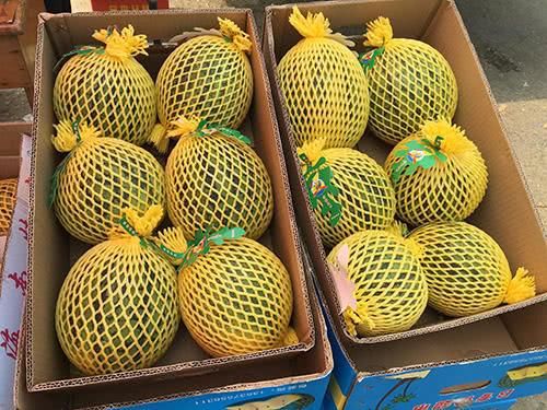 中国小伙追求日本妹子,没送花买包,一箱西瓜把