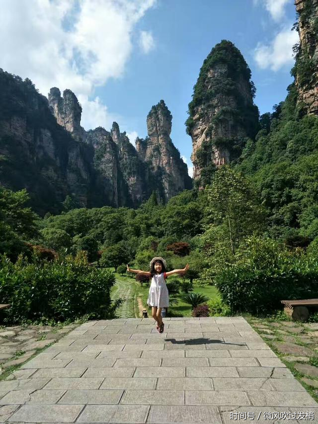 天津坐飞机到张家界,包导游(线路攻略)