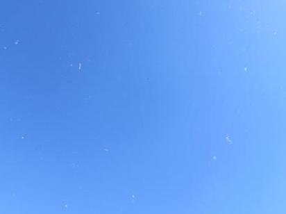 微信投票刷票器手机免费版、微信投票刷票神器