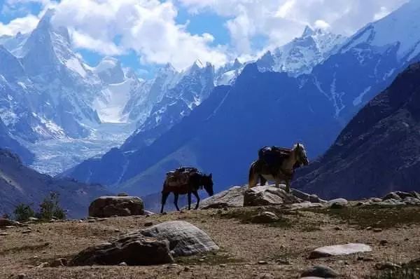 再下一城!巴基斯坦宣布对中国免签!意航再来!含