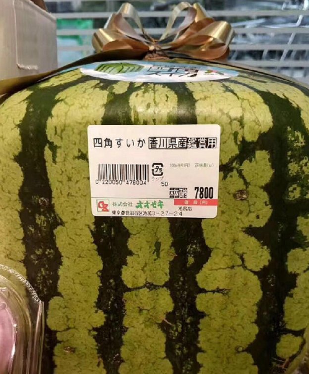 日本当地推出方形西瓜,一个7800日元,网友:这吃
