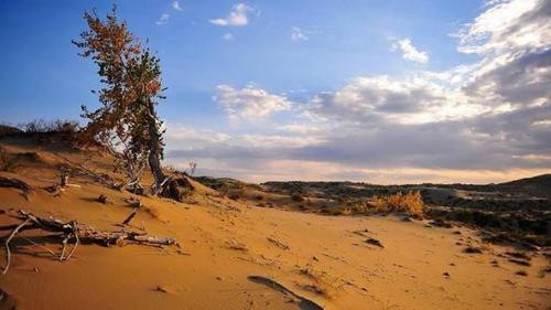 为什么自由行选择去西藏而不是新疆 ?