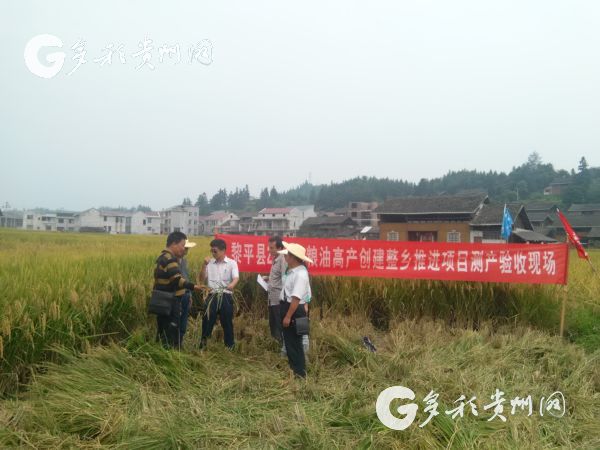 【中国梦·践行者】熊玉唐：为稻田增收致富开新路