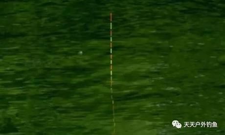 台钓调漂用调四钓二找不到底?台钓高手浅谈调
