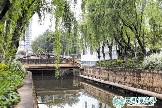 《滇池流域河道生态补偿机制》实施5天 7个自