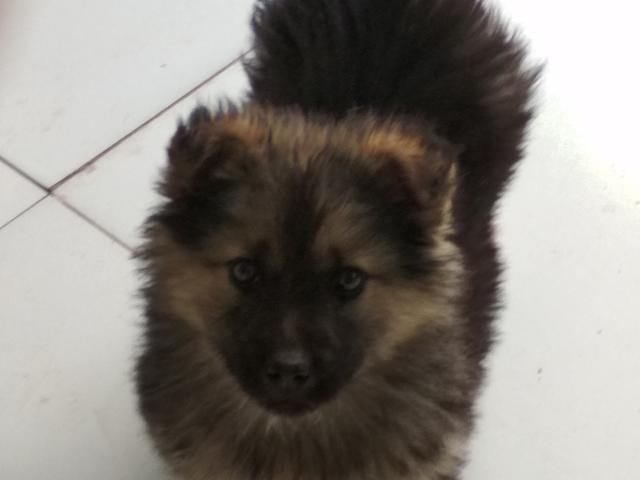 福彩3D157期:用稳定的条件做大底,确保错误率