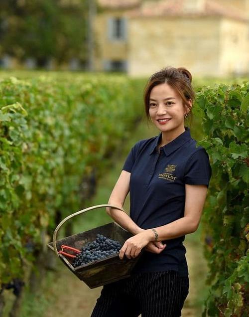 赵薇在自家酒庄摘葡萄,现摘现吃十分悠闲,没人查才是圈内大土豪