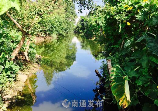 水清了、路平了!这里的村干部用“土办法”解决群众居住环境大问题 水清了、路平了!这里的村干部用“土办法”解决群众居住环境大问题