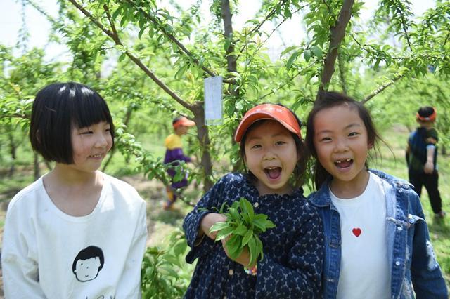 拥抱自然 我爱春天--素质教育践行者郑州市端庄