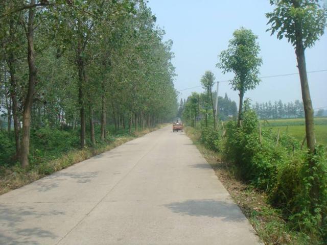 深入开展农村公路整治行动 推进路域环境的治