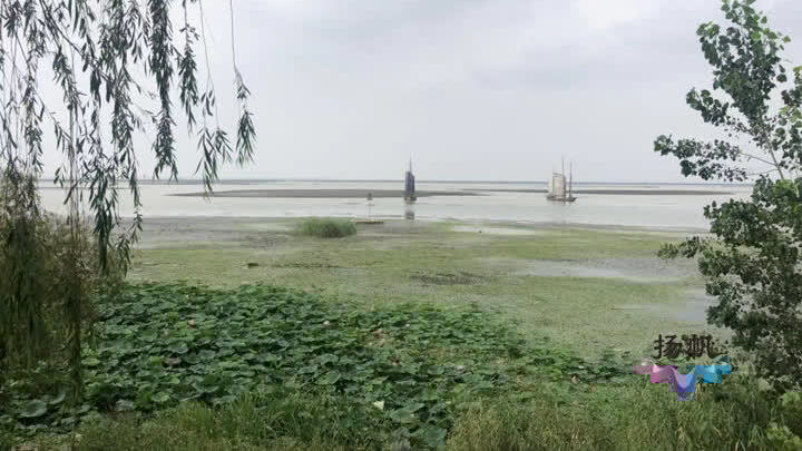 壮丽70年·寻访扬州印记——高邮市：企业昂首前进，生态旅游发展迅速