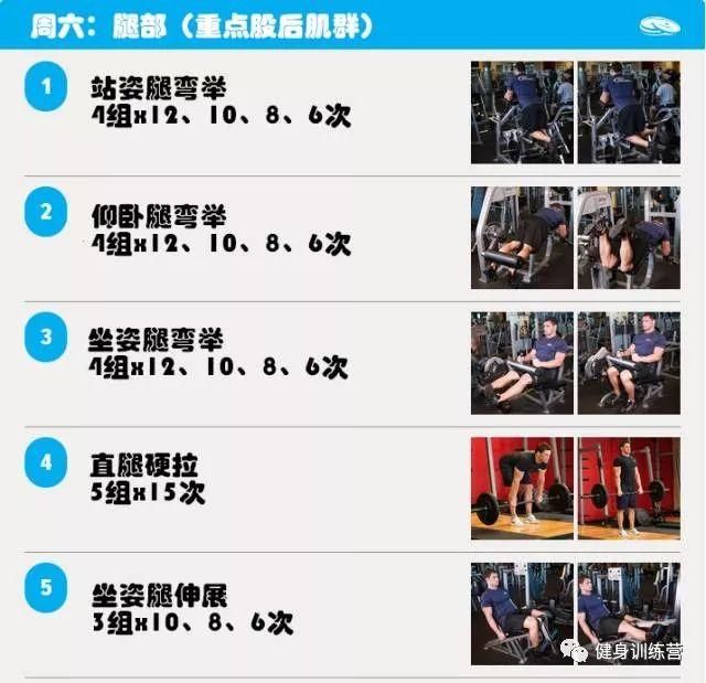 两周循环增肌训练计划,不坚持无增长!