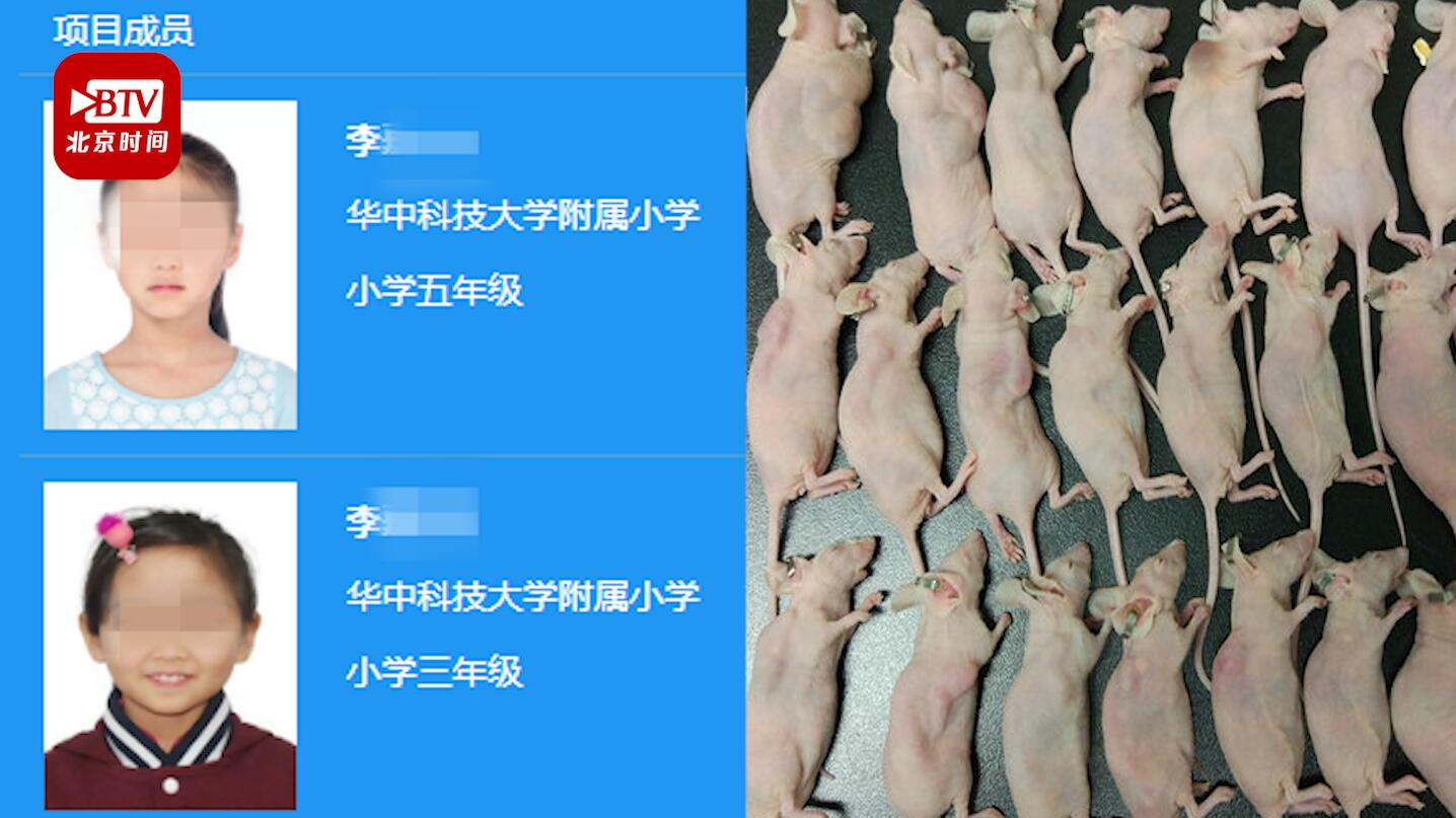 又有两名小学生研究喝茶抗癌获全国大奖 网友：何时出现幼儿园组选手
