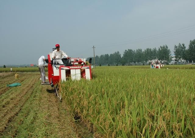 2018年地补、粮补发放时间确定, 补贴金额抢先