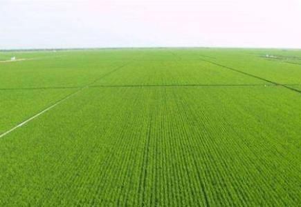 国家出钱收回农民的土地,少说补贴几万,农民为