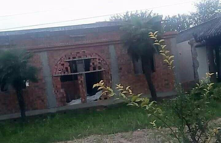 河南新乡:市盆景园被断电停水致两千多棵月季