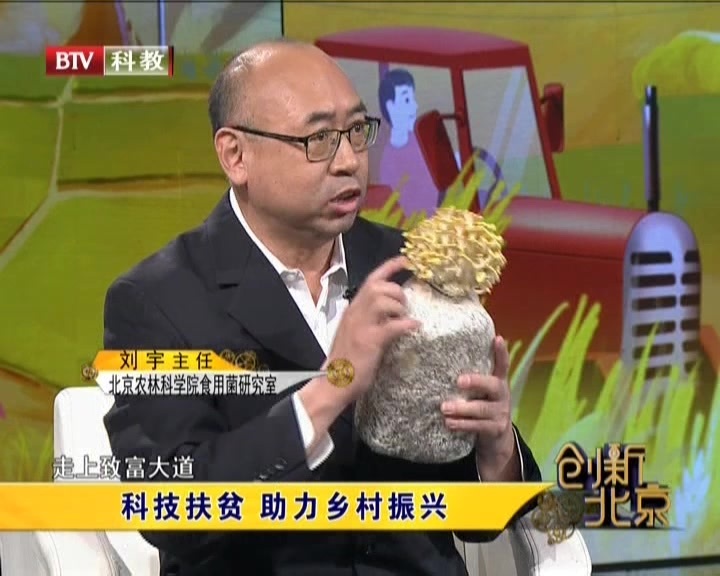 《创新北京》20201017科技扶贫  助力乡村振兴 《创新北京》20201017科技扶贫  助力乡村振兴