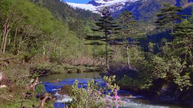 宛若仙境！看终年积雪的碧罗雪山