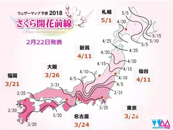 2018日本东京樱花什么时候开,2018东京樱花开放时间