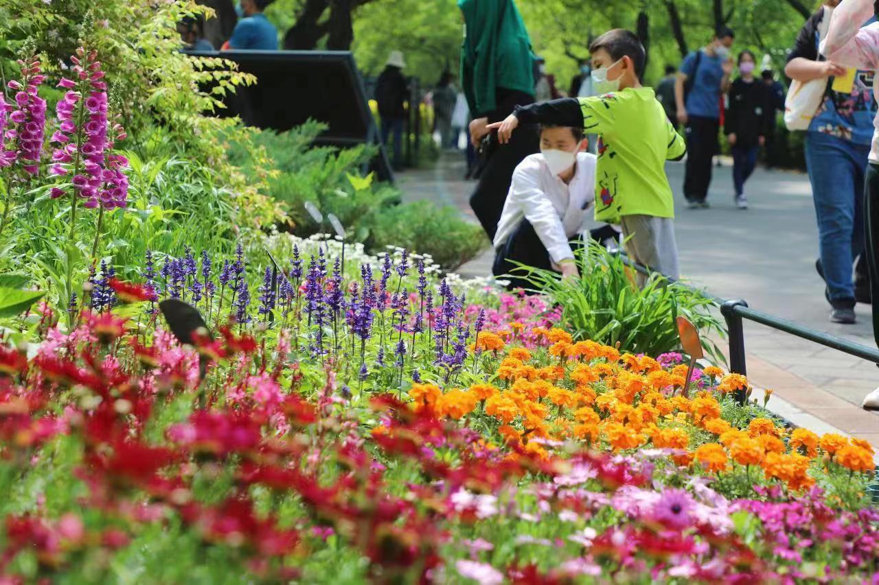 五一小长假，全市公园107处赏花片区和104项特色文化活动等您来！